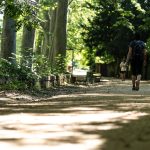 Usuaris passejant a la zona de les fonts de Sant Roc.